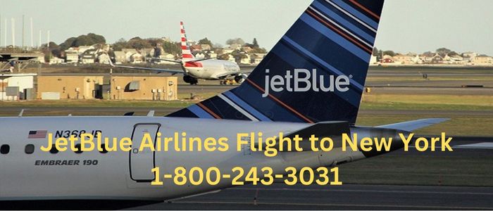 JetBlue Airlines Flight to New York 1-800-243-3031