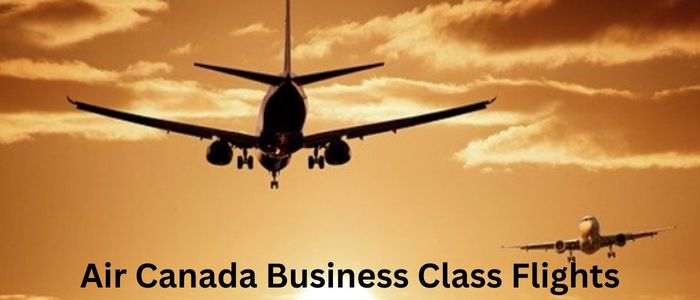 Air Canada Business Class Flights