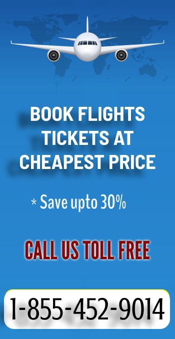 Book Business Flights Ticket